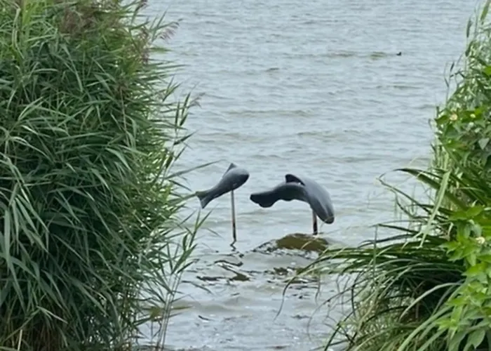 Holiday home Sprottenfang