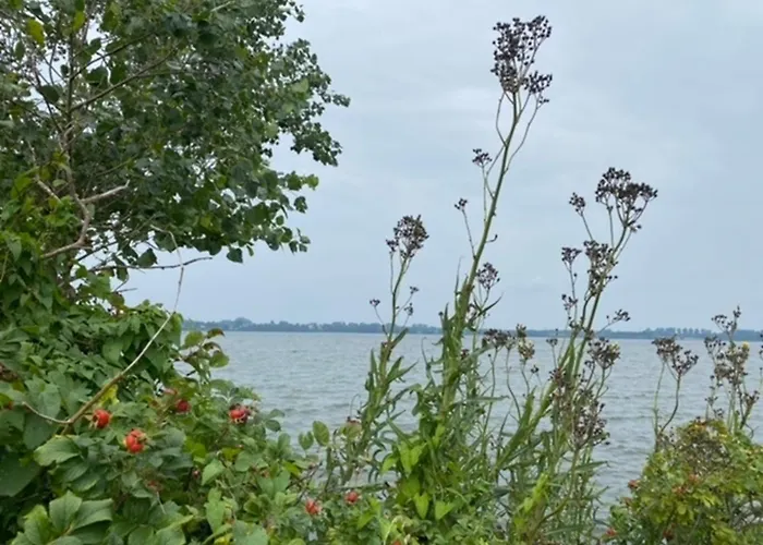 Sprottenfang * Eckernfoerde