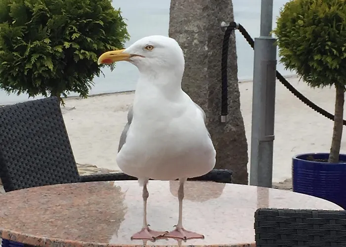 Holiday home Sprottenfang